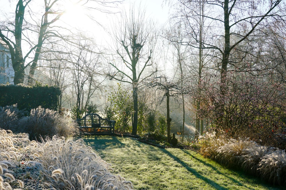 jardin suisse pendant l'hiver